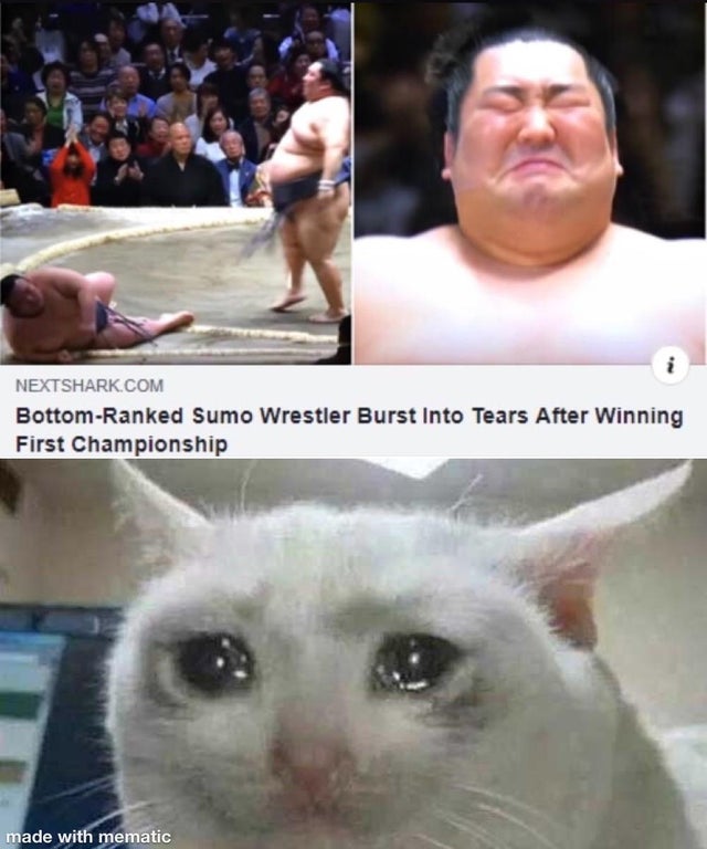 wholesome - billie eilish 14 year old meme - Nextshark.Com BottomRanked Sumo Wrestler Burst Into Tears After Winning First Championship made with mematic