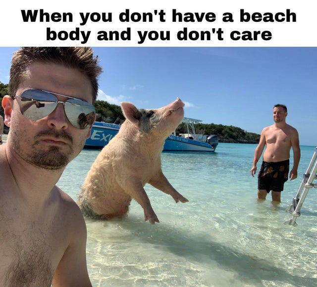 wholesome - vacation - When you don't have a beach body and you don't care