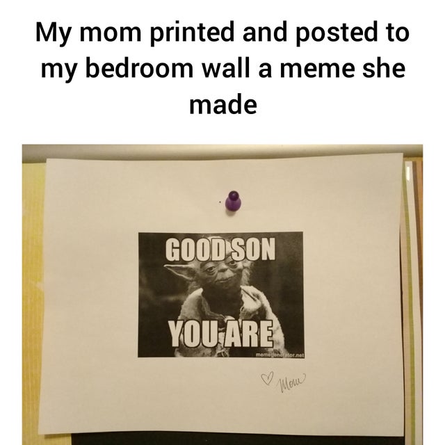 wholesome - presentation - My mom printed and posted to my bedroom wall a meme she made Good Son You Are memuruna stor.net