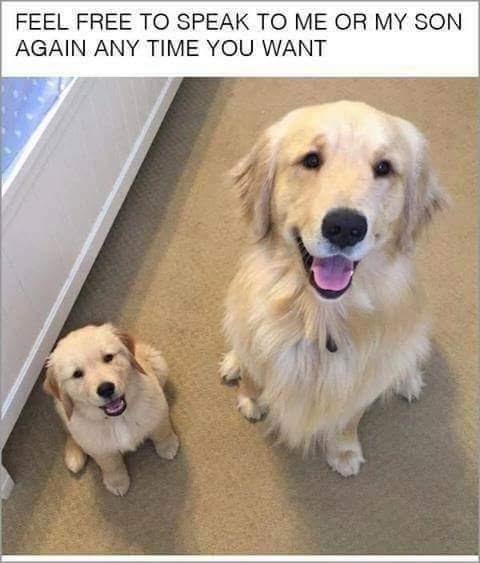wholesome - feel free to speak to me or my son - Feel Free To Speak To Me Or My Son Again Any Time You Want