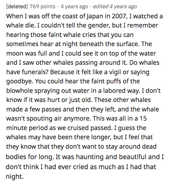 sailor stories - angle - deleted 769 points 4 years ago . edited 4 years ago When I was off the coast of Japan in 2007, I watched a whale die. I couldn't tell the gender, but I remember hearing those faint whale cries that you can sometimes hear at night 