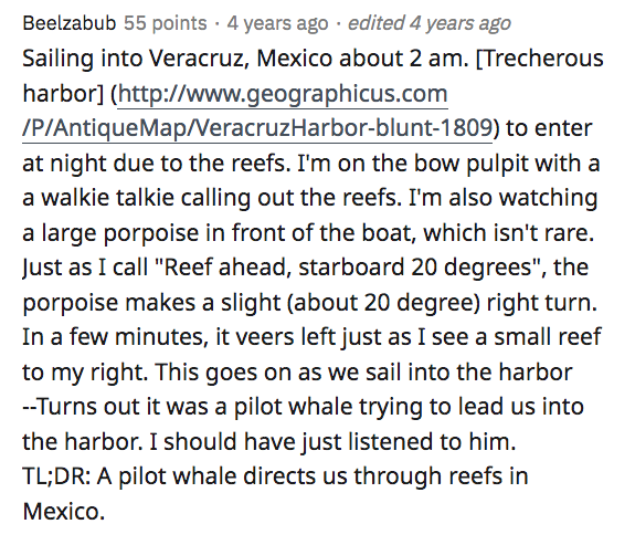 sailor stories - Beelzabub 55 points 4 years ago. edited 4 years ago Sailing into Veracruz, Mexico about 2 am. Trecherous harbor PAntiqueMapVeracruzHarborblunt1809 to enter at night due to the reefs. I'm on the bow pulpit with a a walkie talkie calling ou