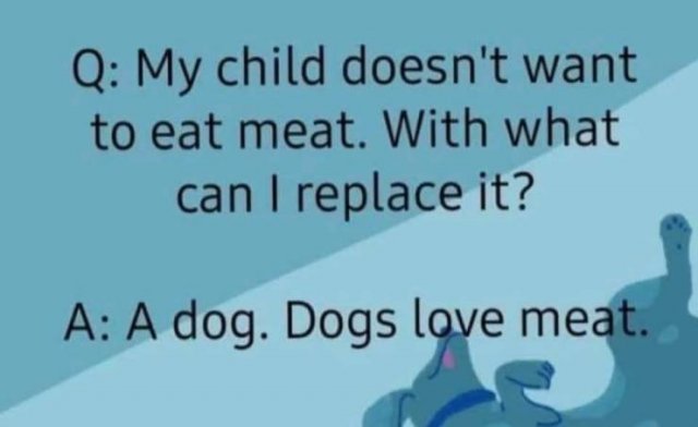 Dog - Q My child doesn't want to eat meat. With what can I replace it? A A dog. Dogs love meat.