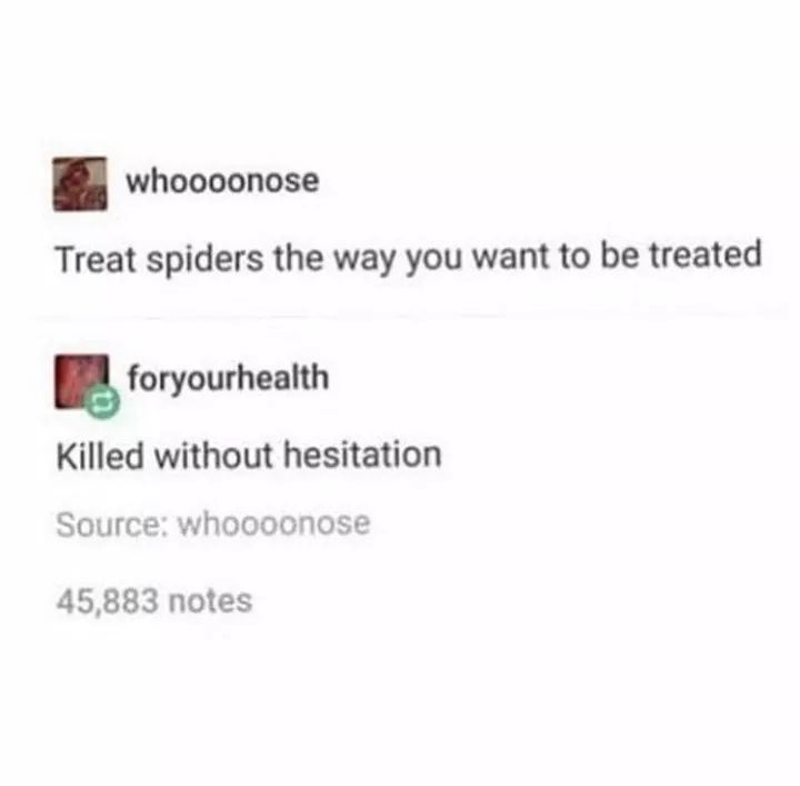 document - whoooonose Treat spiders the way you want to be treated L.foryourhealth Killed without hesitation Source whoooonose 45,883 notes