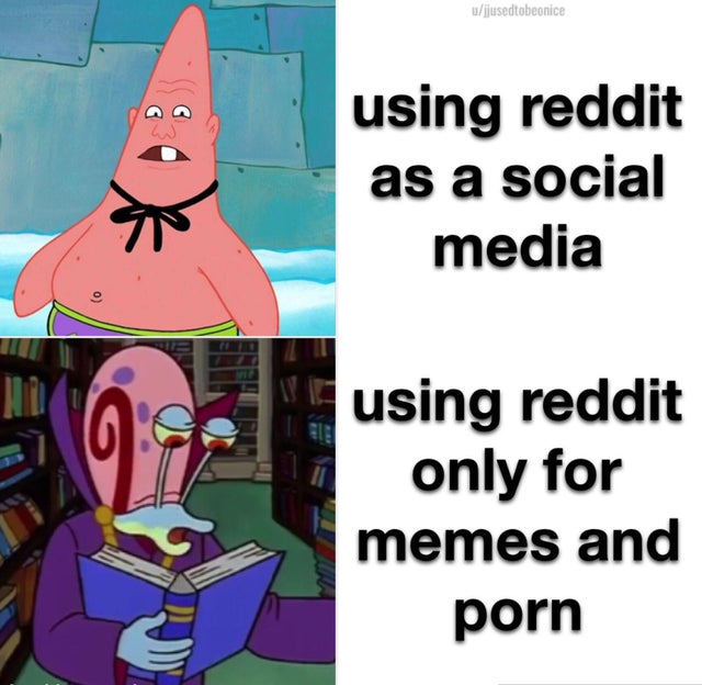 Internet meme - ujusedtobeonice using reddit as a social media using reddit only for memes and porn