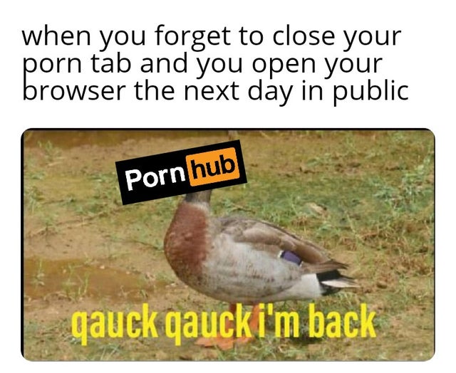 duck - when you forget to close your porn tab and you open your browser the next day in public Porn hub qauck qaucki'm back