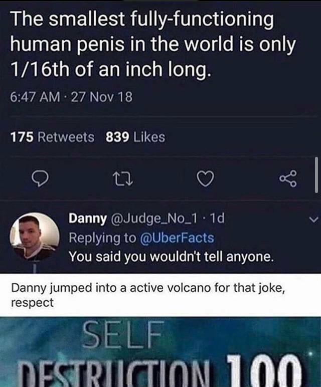 screenshot - The smallest fullyfunctioning human penis in the world is only 116th of an inch long. 27 Nov 18 175 839 Danny .1d You said you wouldn't tell anyone. Danny jumped into a active volcano for that joke, respect Self Destruction 100