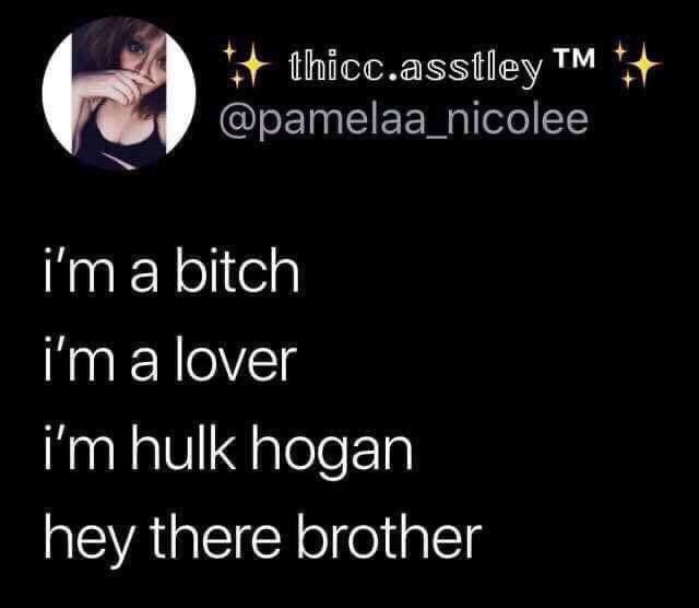 im a bitch im a lover im hulk hogan - thicc.asstley T i'm a bitch i'm a lover i'm hulk hogan hey there brother