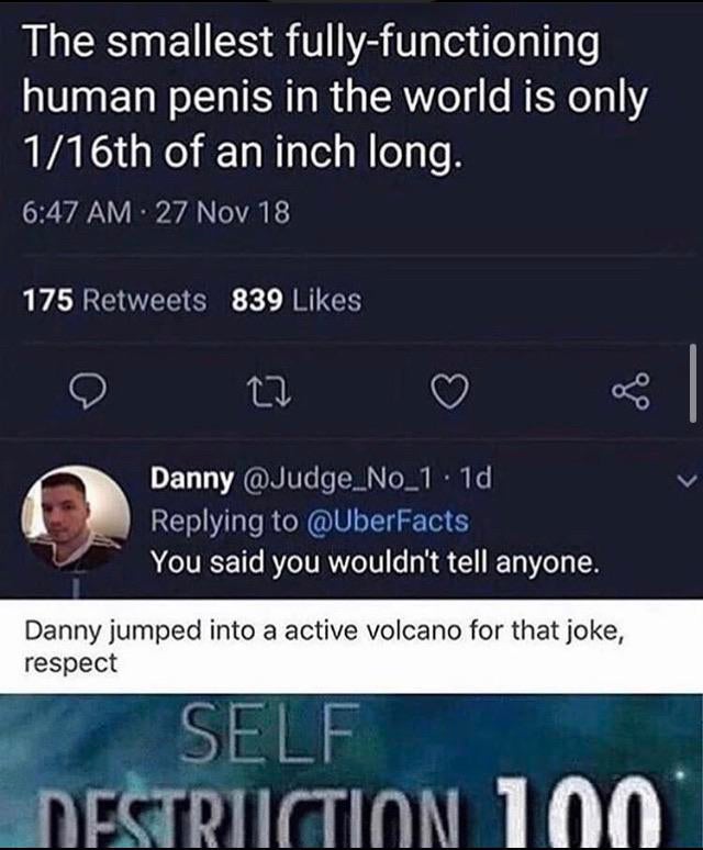 self destruction 100 memes - The smallest fullyfunctioning human penis in the world is only 116th of an inch long. 27 Nov 18 175 839 Danny .1d You said you wouldn't tell anyone. Danny jumped into a active volcano for that joke, respect Self Destriiction 1