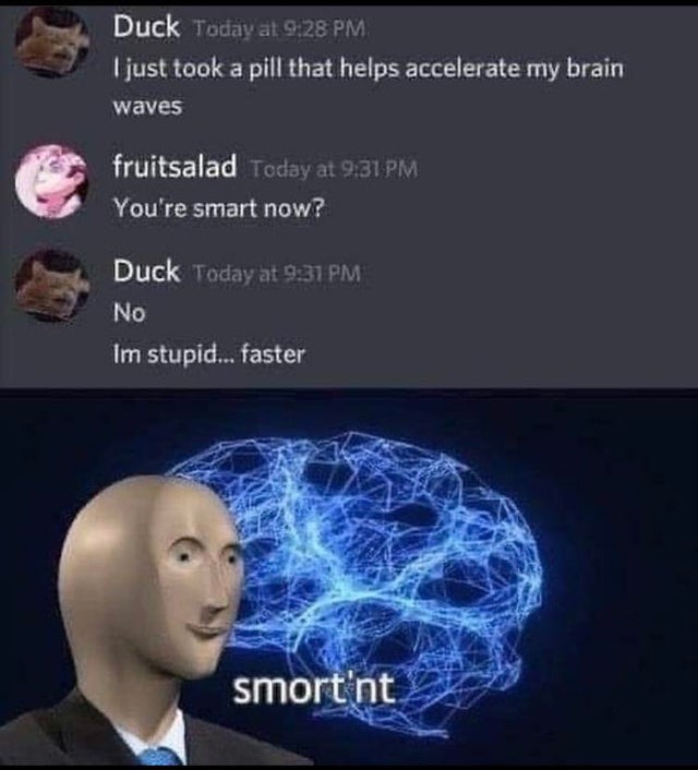 smort nt meme - Duck Today at I just took a pill that helps accelerate my brain waves fruitsalad Today at You're smart now? Duck Today at No Im stupid... faster smort'nt