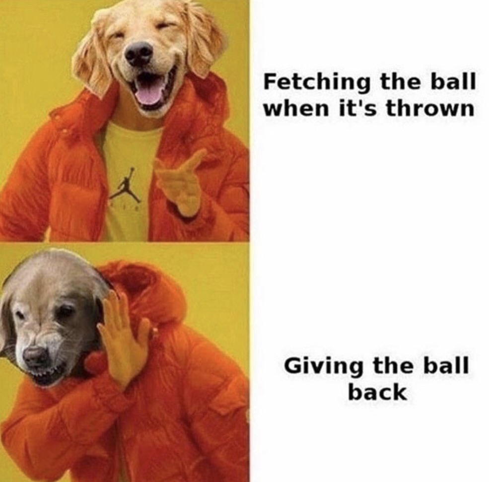 drake meme template - Fetching the ball when it's thrown Giving the ball back