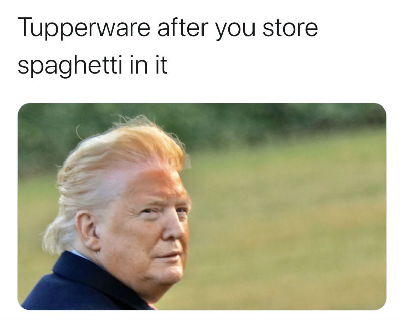 Donald Trump - Tupperware after you store spaghetti in it