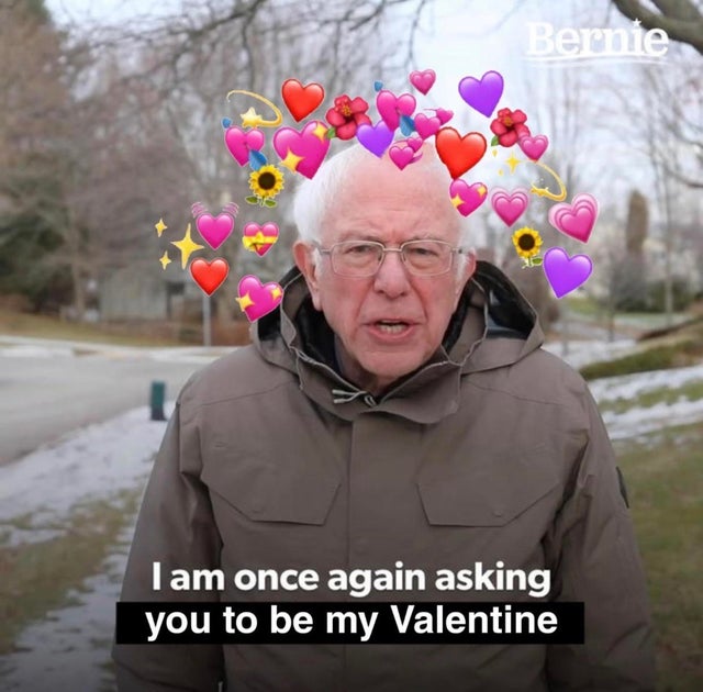 im once again asking for your financial support - Bernie Tam once again asking you to be my Valentine