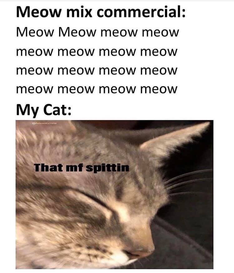 Meow - Meow mix commercial Meow Meow meow meow meow meow meow meow meow meow meow meow meow meow meow meow My Cat End That mf spittin