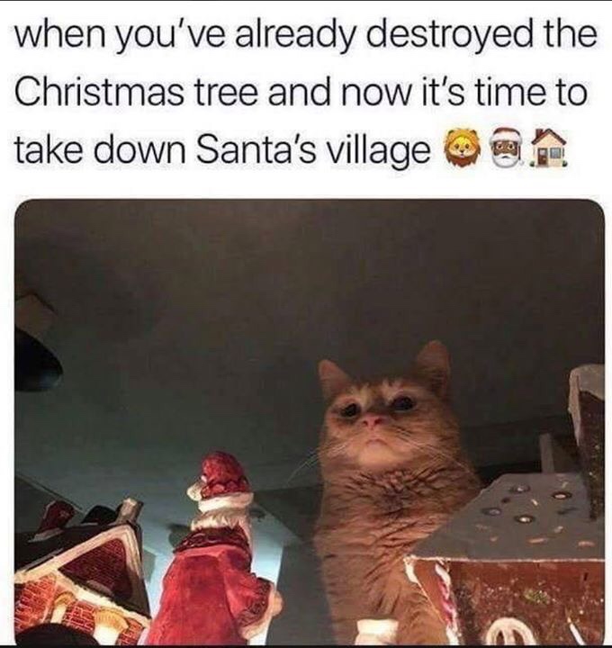 christmas cat meme - when you've already destroyed the Christmas tree and now it's time to take down Santa's village