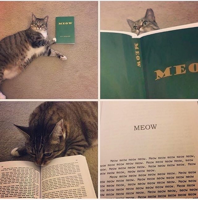 book of meow - Mo Meow Meo Meow Hi A Hull !! Mnie Willi Will Wheth Hd Tilm Till linn ini Ii Iii Meow meow meow meow. Meow meow meow meow meow Beow meow meow meow meow. Meow meow meow meow meow reow. Meow meow meow meow. Meow meow meow meow. Meow eow meow 