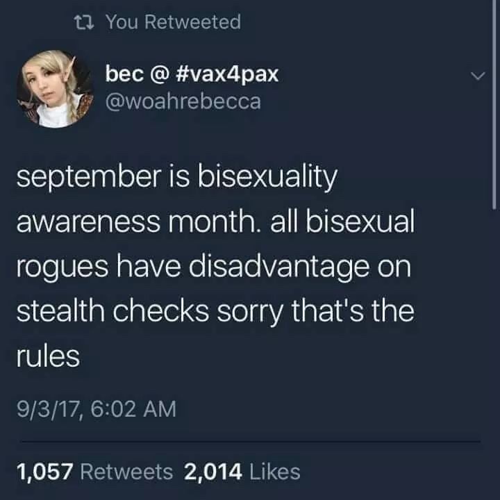 D&D meme - bisexual rogues - t? You Retweeted bec @ september is bisexuality awareness month. all bisexual rogues have disadvantage on stealth checks sorry that's the rules 9317, 1,057 2,014