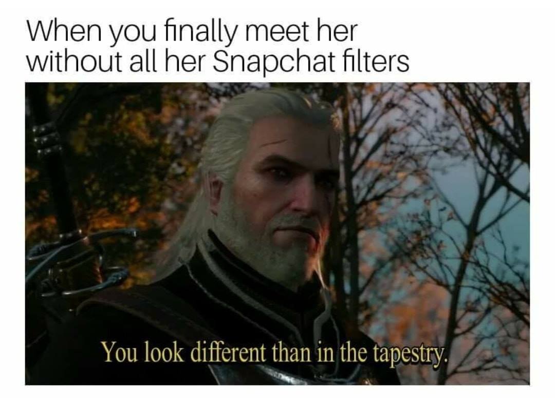 Witcher memes - photo caption - When you finally meet her without all her Snapchat filters You look different than in the tapestry.