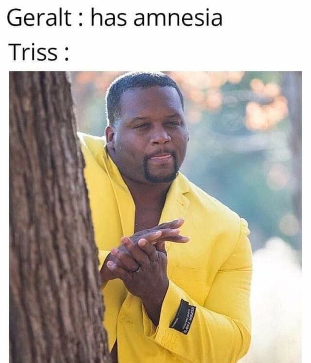 Witcher memes - Geralt has amnesia Triss