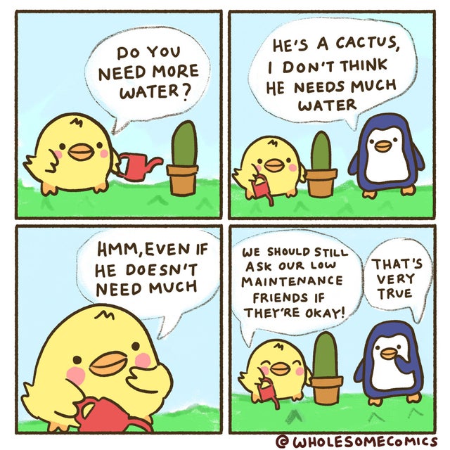 wholesome meme - comics - Po You Need More Water? He'S A Cactus, I Don'T Think He Needs Much Water Hmm, Even If He Doesn'T Need Much We Should Still Ask Our Low Maintenance Friends If They'Re Okay! That'S Very True Wholesomecomics