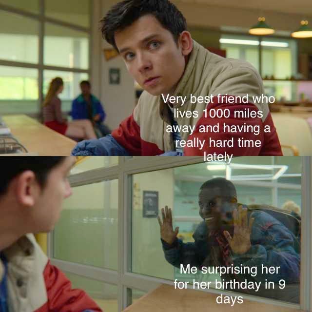 wholesome meme - sex education meme template - Very best friend who lives 1000 miles away and having a really hard time lately Me surprising her for her birthday in 9 days