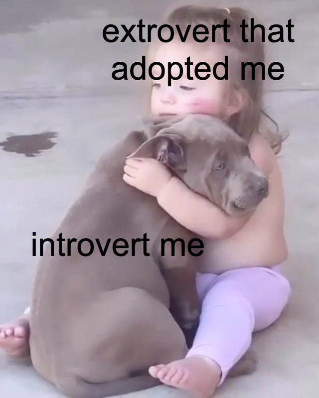wholesome meme - photo caption - extrovert that adopted me introvert me