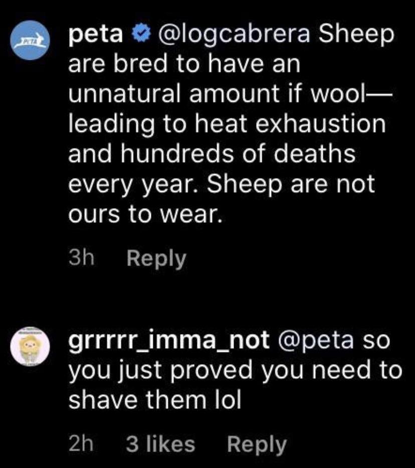 screenshot - peta Sheep are bred to have an unnatural amount if wool leading to heat exhaustion and hundreds of deaths every year. Sheep are not ours to wear. 3h grrrrr_imma_not so you just proved you need to shave them lol 2h 3