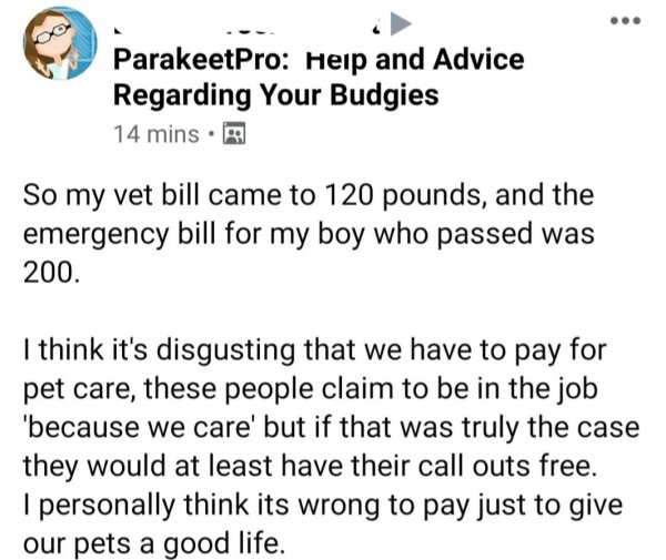 document - ParakeetPro Help and Advice Regarding Your Budgies 14 mins. So my vet bill came to 120 pounds, and the emergency bill for my boy who passed was 200. I think it's disgusting that we have to pay for pet care, these people claim to be in the job b