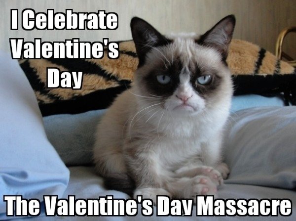 grumpy cat disapproves - I Celebrate Valentine's Day The Valentine's Day Massacre
