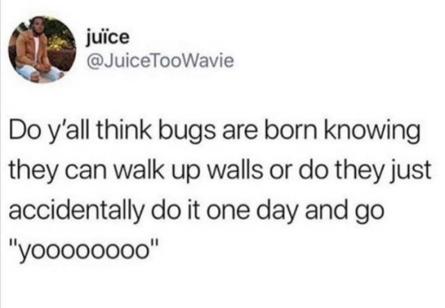 white people say meme - juce Do y'all think bugs are born knowing they can walk up walls or do they just accidentally do it one day and go "yoooo0000"