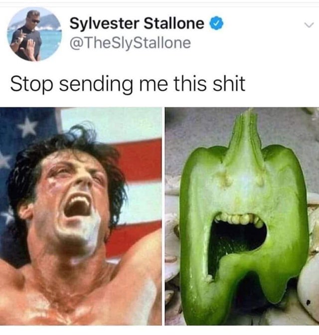 stop sending me this shit - Sylvester Stallone Stop sending me this shit