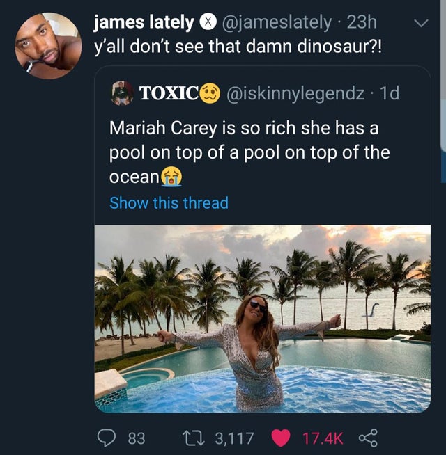 water - V james lately . 23h y'all don't see that damn dinosaur?! Toxic 10, Mariah Carey is so rich she has a pool on top of a pool on top of the ocean Show this thread '983 22 3,117