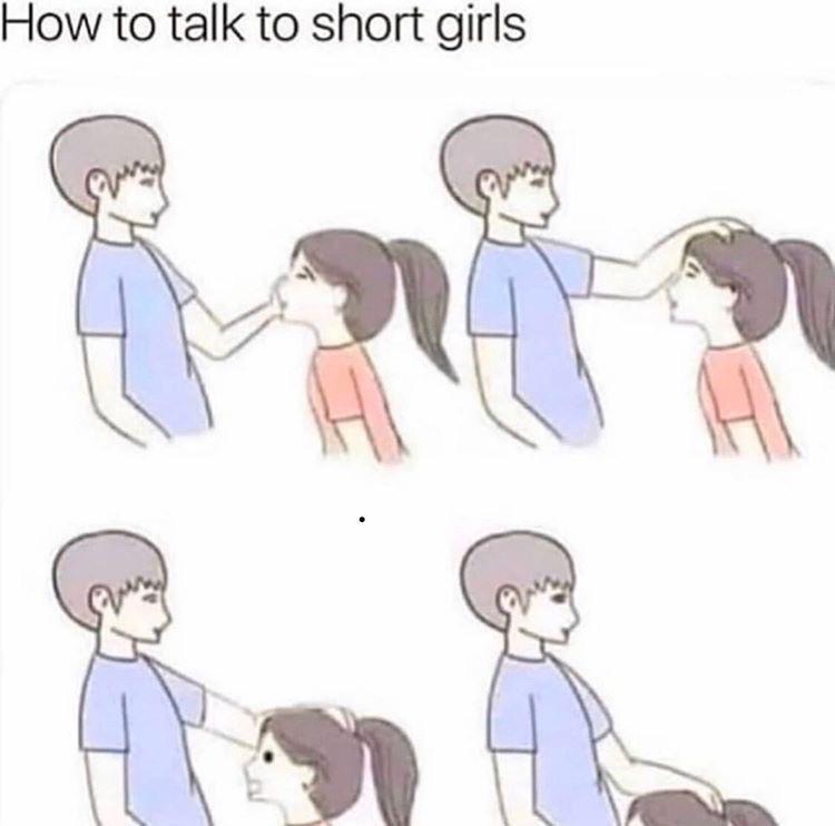 sex memes - meme about short girls - How to talk to short girls