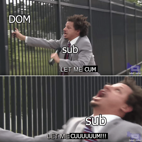 sex memes - let me in meme med school - Dom sub Let Me Cum adult swim sub Let Me Cuuuuuum!!!