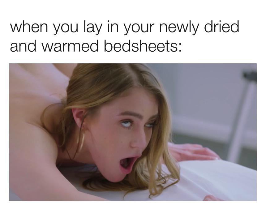 sex memes - photo caption - when you lay in your newly dried and warmed bedsheets