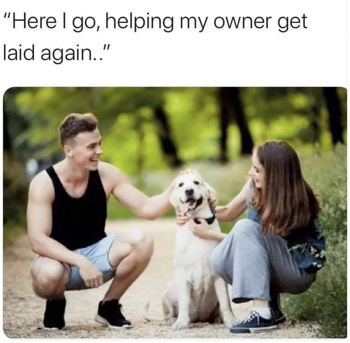 sex memes - dog helping owner get laid -