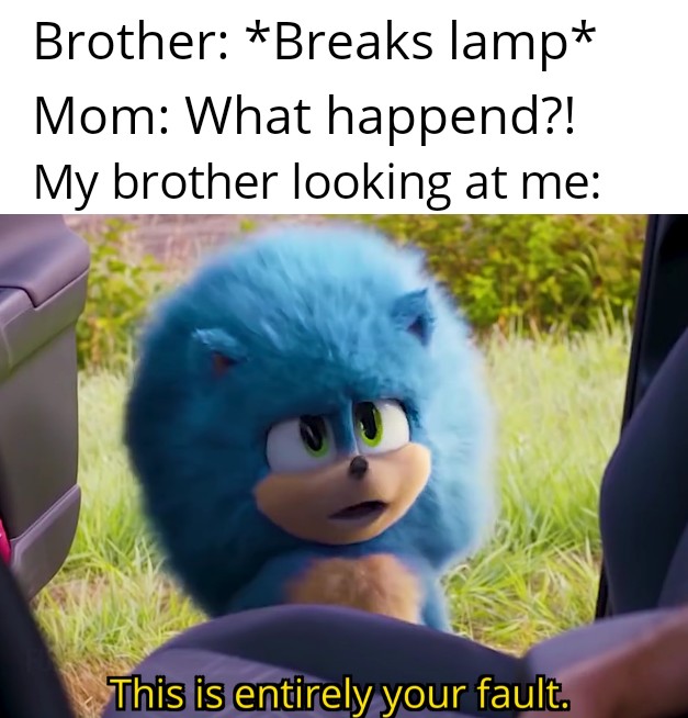 photo caption - Brother Breaks lamp Mom What happend?! My brother looking at me This is entirely your fault.