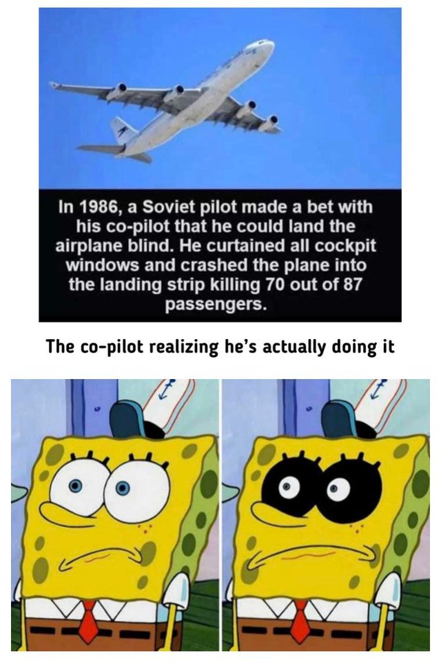 SpongeBob SquarePants - In 1986, a Soviet pilot made a bet with his copilot that he could land the airplane blind. He curtained all cockpit windows and crashed the plane into the landing strip killing 70 out of 87 passengers. The copilot realizing he's ac