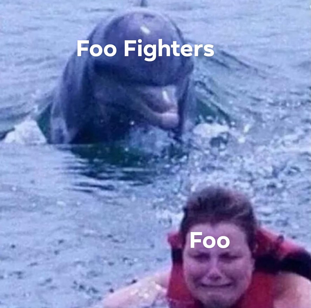 you re gonna learn today dolphin - Foo Fighters Foo.