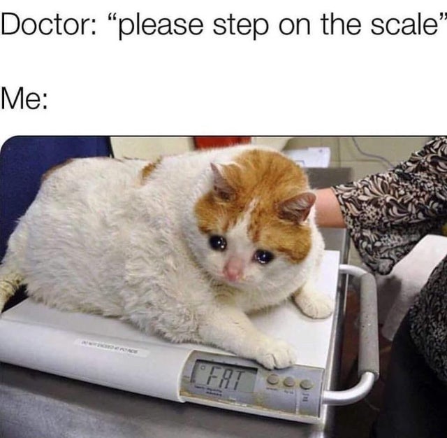 funny meme - please step on the scale meme - Doctor please step on the scale" Me