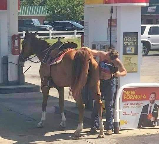 funny meme - horse at gas pump - Gold Status New Formula Us Tour Non Wow
