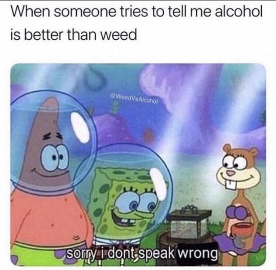funny meme - sorry i dont speak disrespect - When someone tries to tell me alcohol is better than weed sorry i dont speak wrong