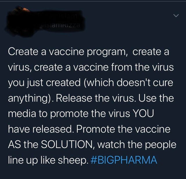 insane parents - screenshot - samnrizza Create a vaccine program, create a virus, create a vaccine from the virus you just created which doesn't cure anything. Release the virus. Use the media to promote the virus You have released. Promote the vaccine As