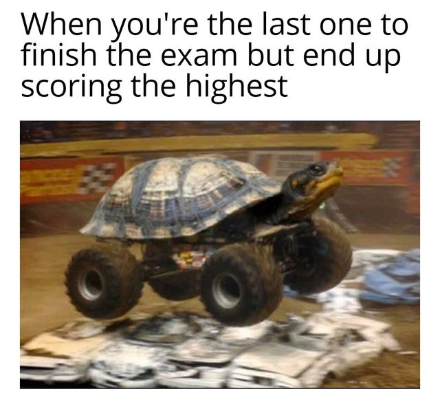 internet-for-the-spirit-monster truck turtle - When you're the last one to finish the exam but end up scoring the highest