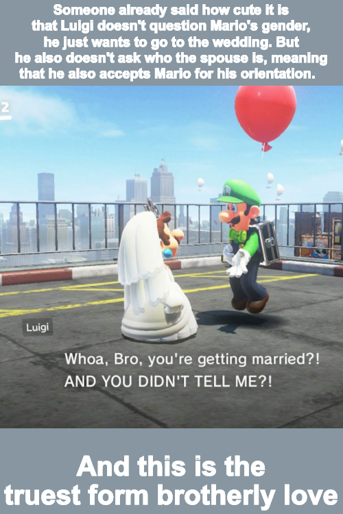 internet-for-the-spirit-Mario Series - Someone already sald how cute it is that Luigi doesn't question Mario's gender, he just wants to go to the wedding. But he also doesn't ask who the spouse is, meaning that he also accepts Mario for his orientation. L