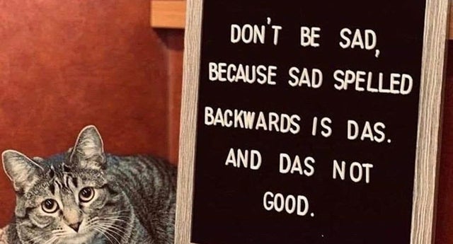 internet-for-the-spirit-dont be sad because sad spelled backwards - Don'T Be Sad Because Sad Spelled Backwards Is Das. And Das Not Good.