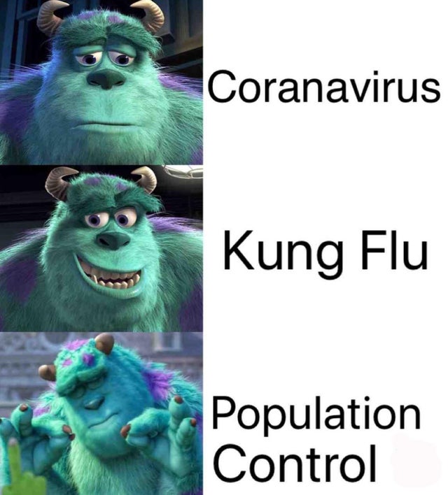 new sully meme - Coranavirus Kung Flu Population Control
