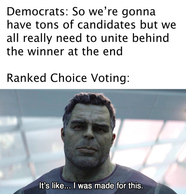 it's like i was made for this hulk - Democrats So we're gonna have tons of candidates but we all really need to unite behind the winner at the end Ranked Choice Voting It's ... I was made for this.