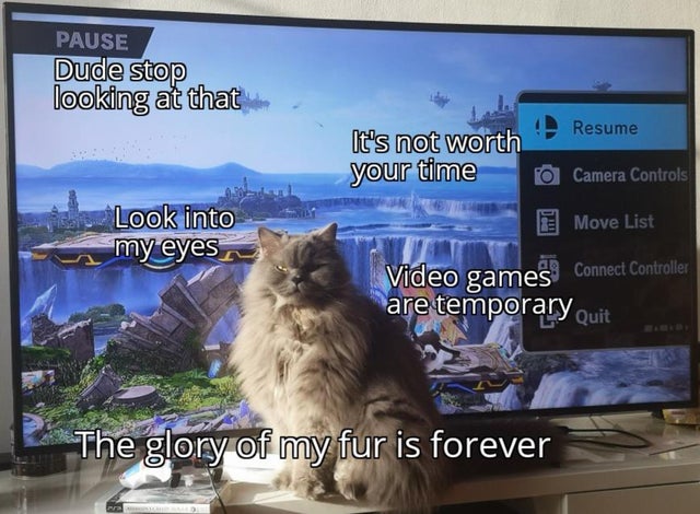 gaming memes - photo caption - Pause Dude stop looking at that Resume It's not worth your time O Camera Controls Look into my eyes Move List Video games Connect Controller are temporary quit The glory of my fur is forever