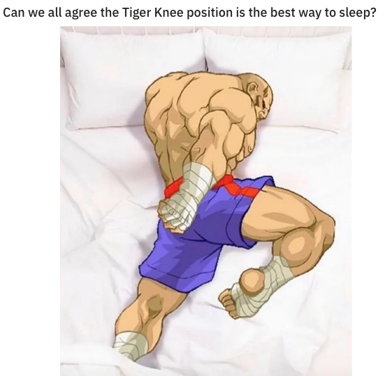 gaming memes - sagat street fighter - Can we all agree the Tiger Knee position is the best way to sleep?